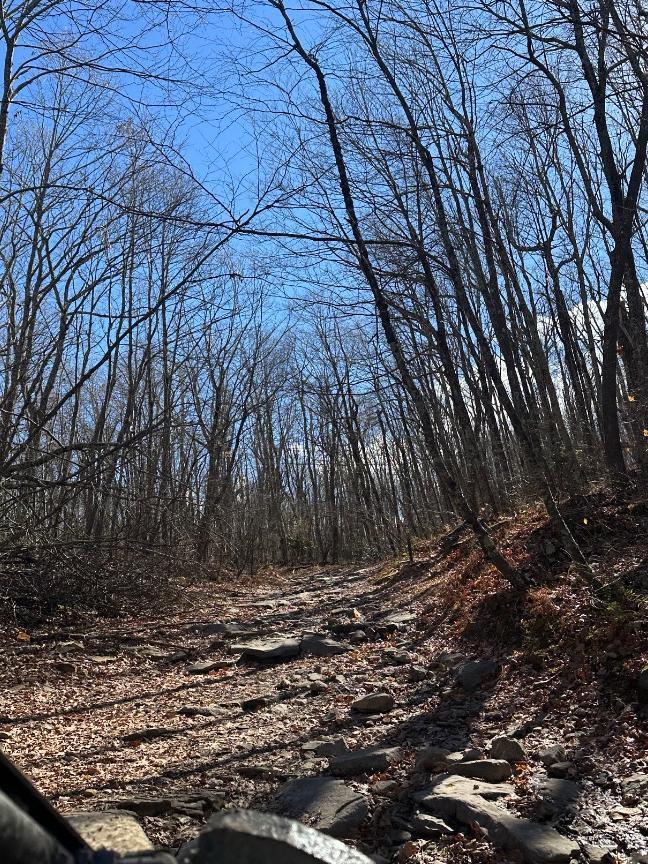 Trailintel Trail Photo