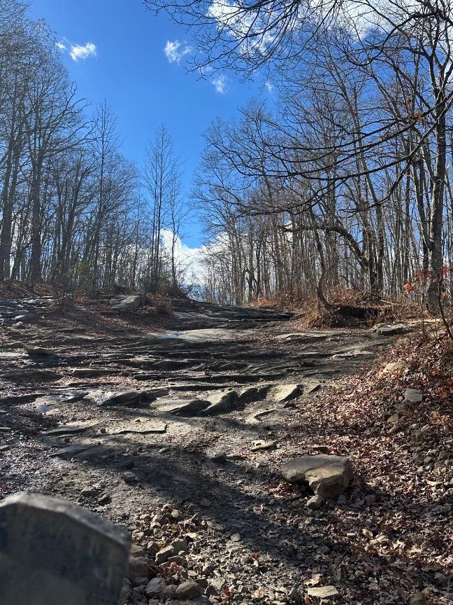 Trailintel Trail Photo