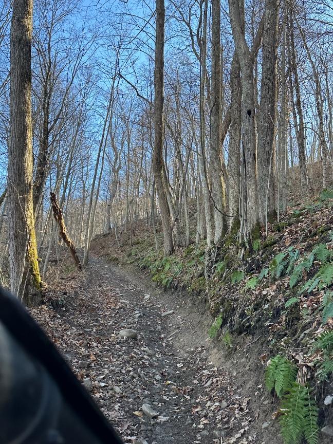 Trailintel Trail Photo