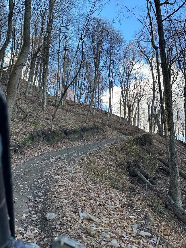 Trailintel Trail Photo