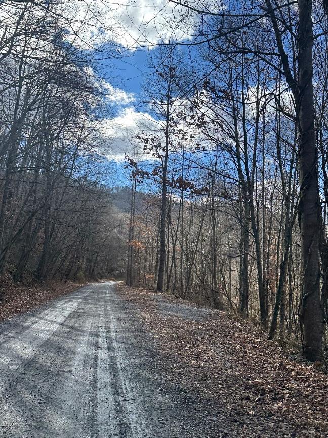 Trailintel Trail Photo