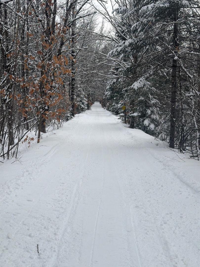 Trailintel Trail Photo