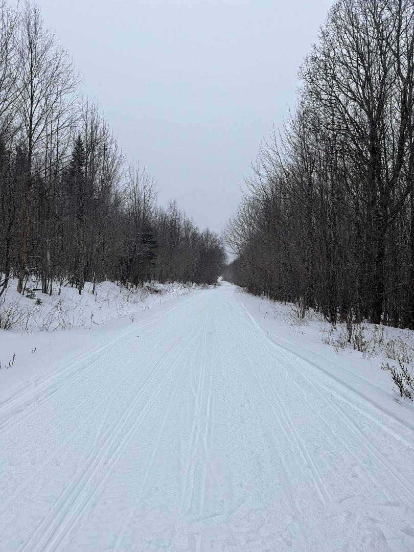 Trailintel Trail Photo