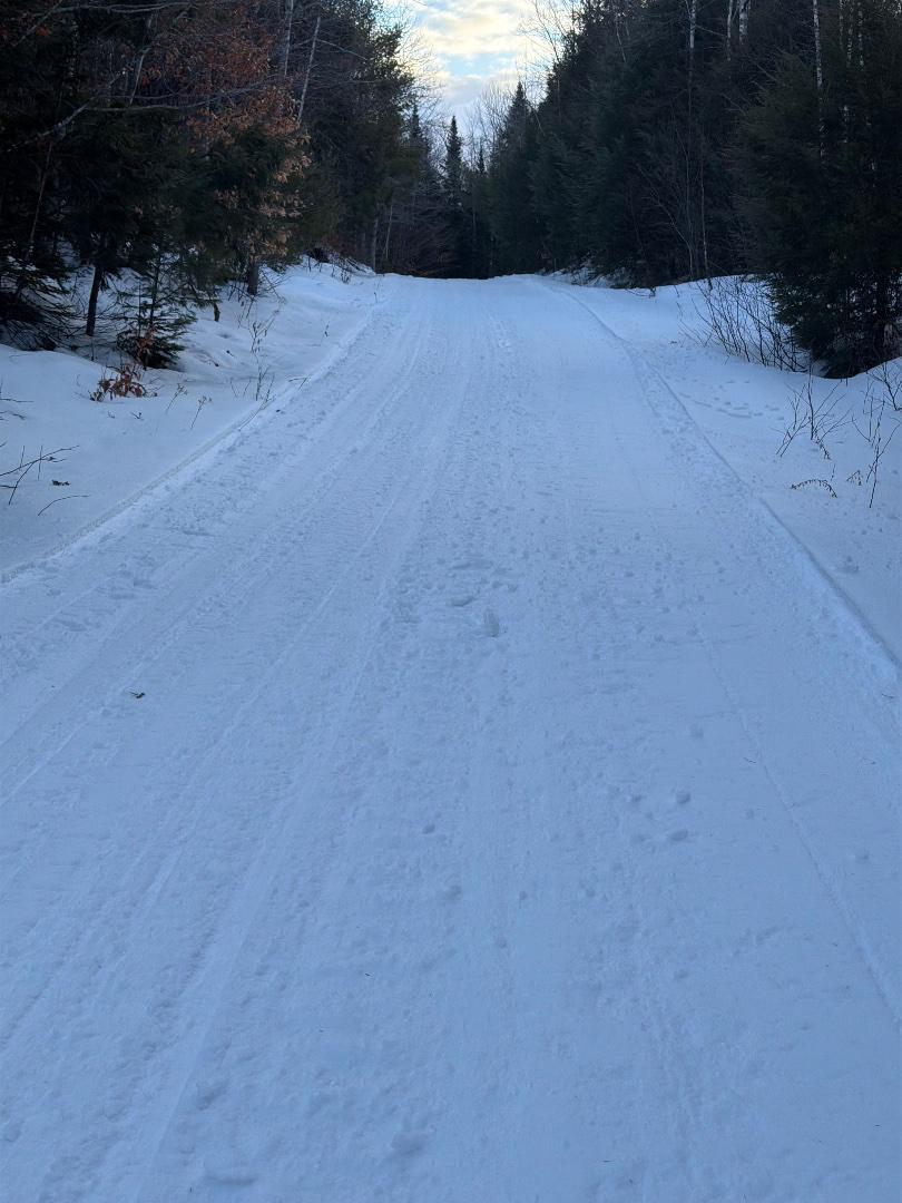 Trailintel Trail Photo