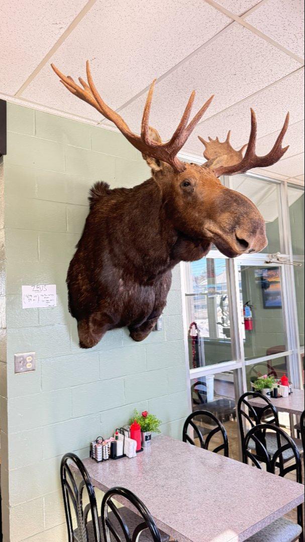 Snoglider58 Trail Photo