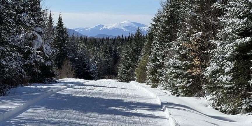 Backcountry Trail Photo