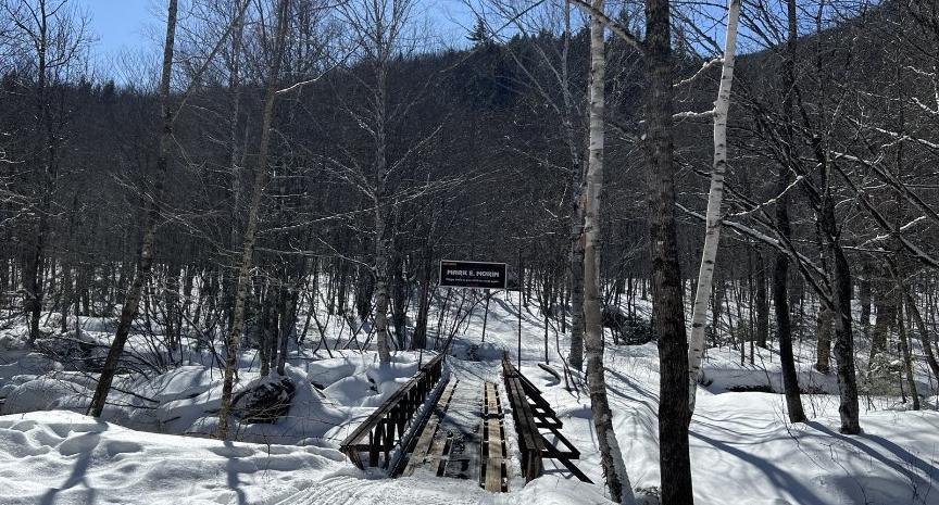 Backcountry Trail Photo