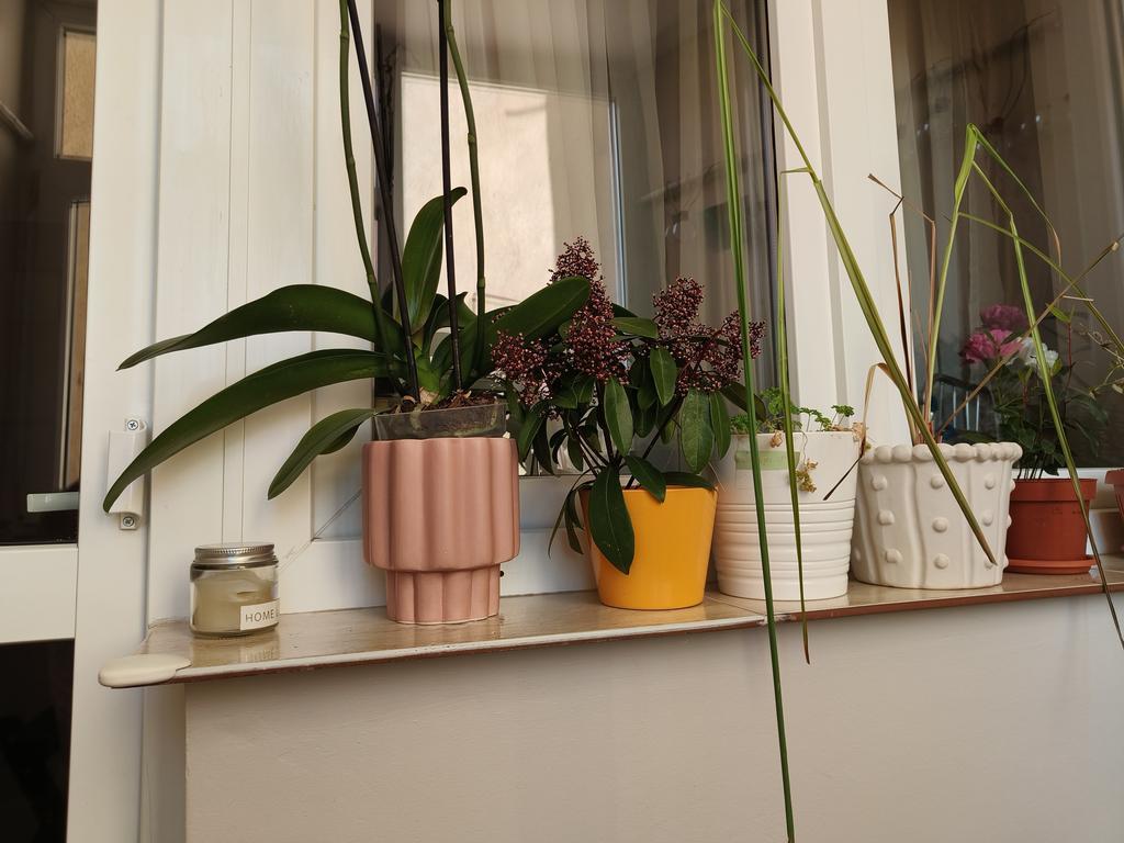 doru.lupulescu@gmail.com Trail Photo