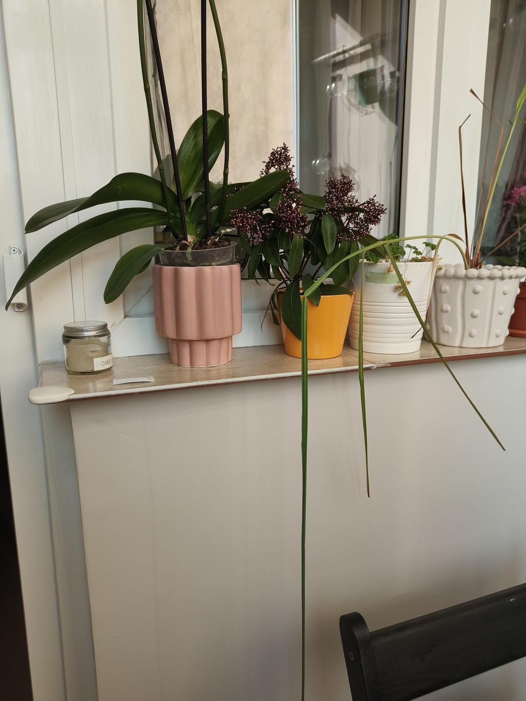 testinglupulescudoru@gmail.com Trail Photo