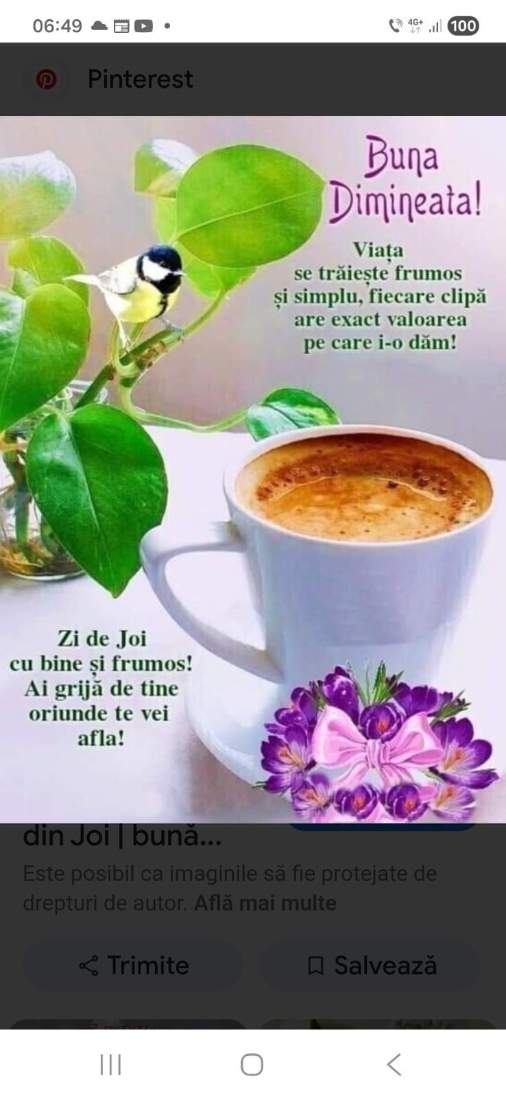 doru.lupulescu@gmail.com Trail Photo