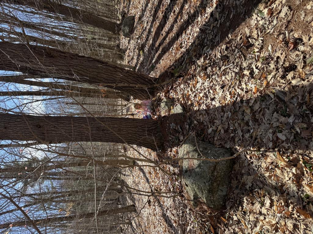 Cashline13 Trail Photo