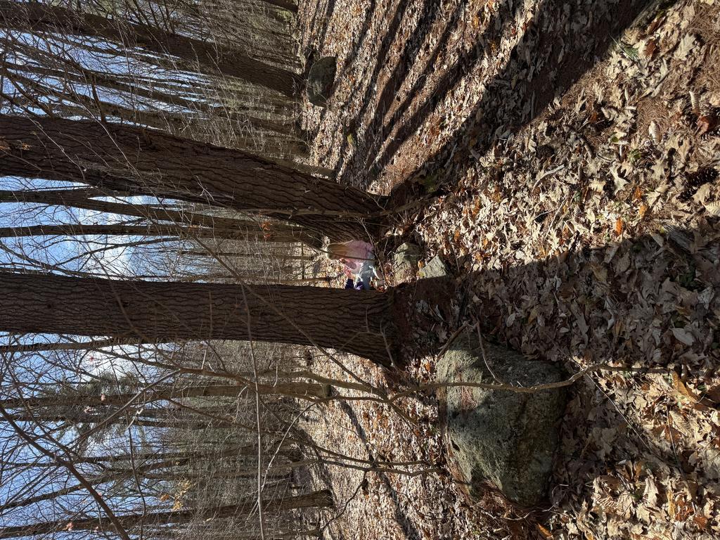 Cashline13 Trail Photo