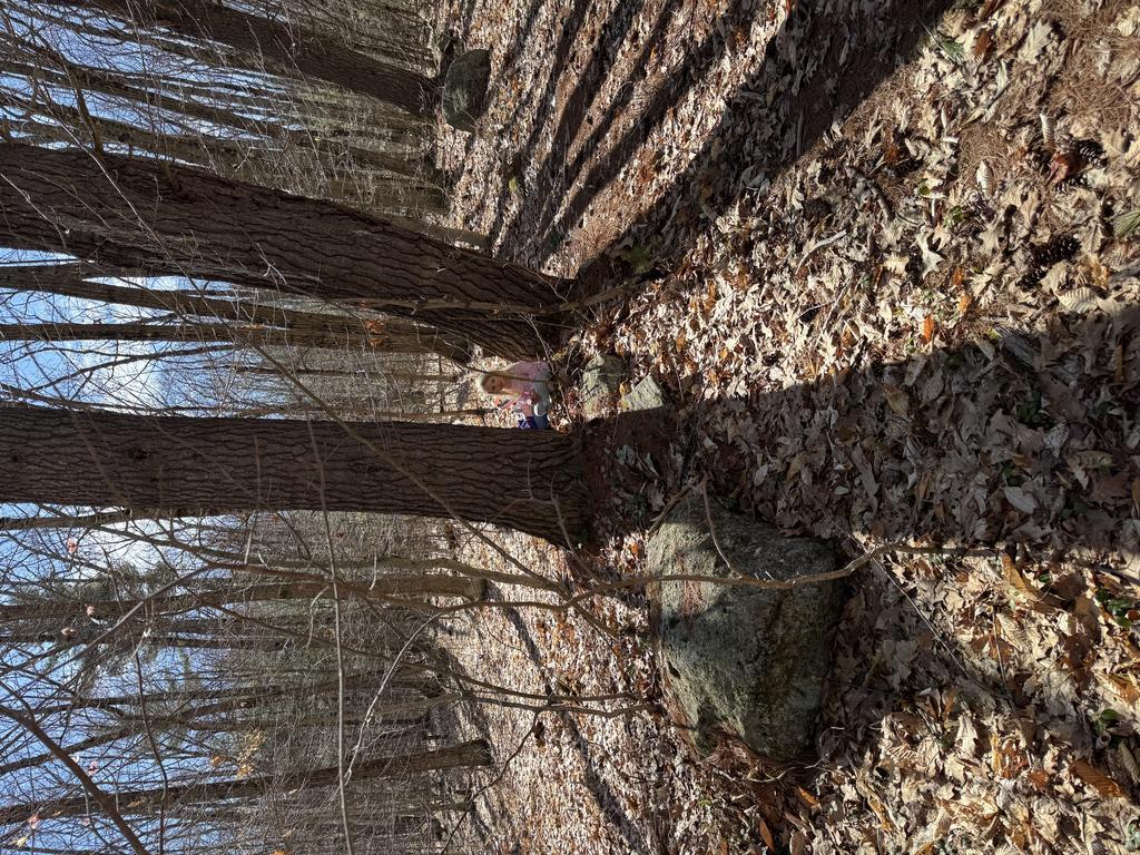 Cashline13 Trail Photo