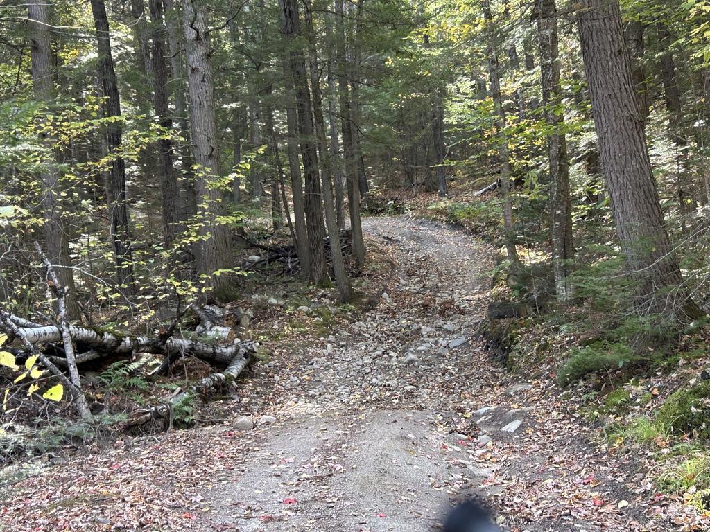 207_Pathfinders Trail Photo