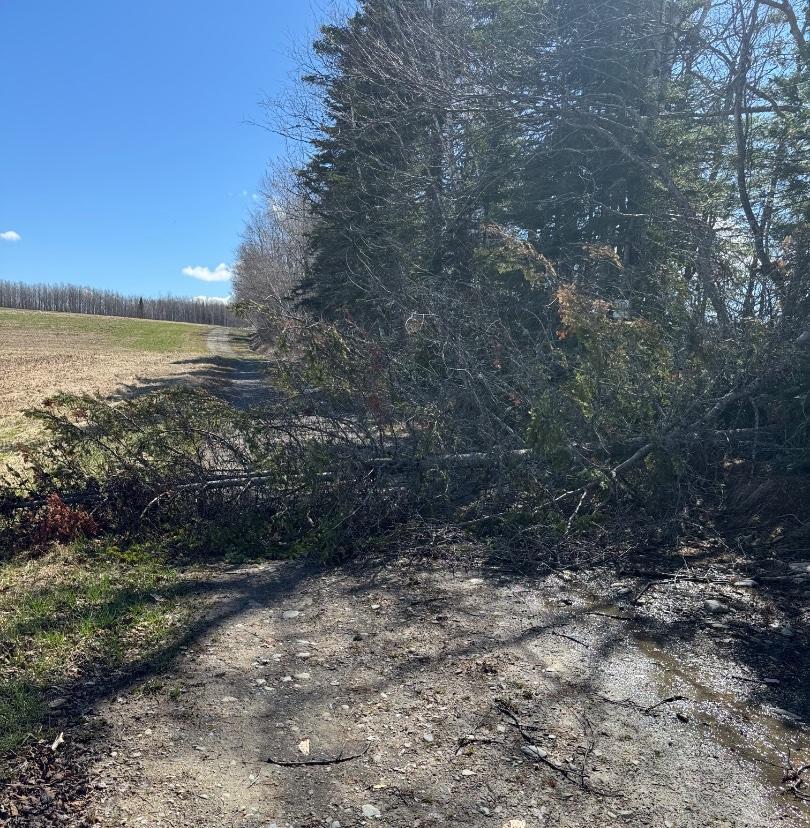 BorderlineATVClub Trail Photo