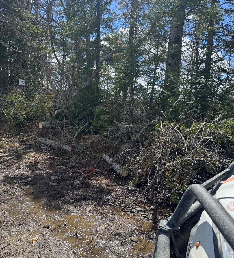 BorderlineATVClub Trail Photo