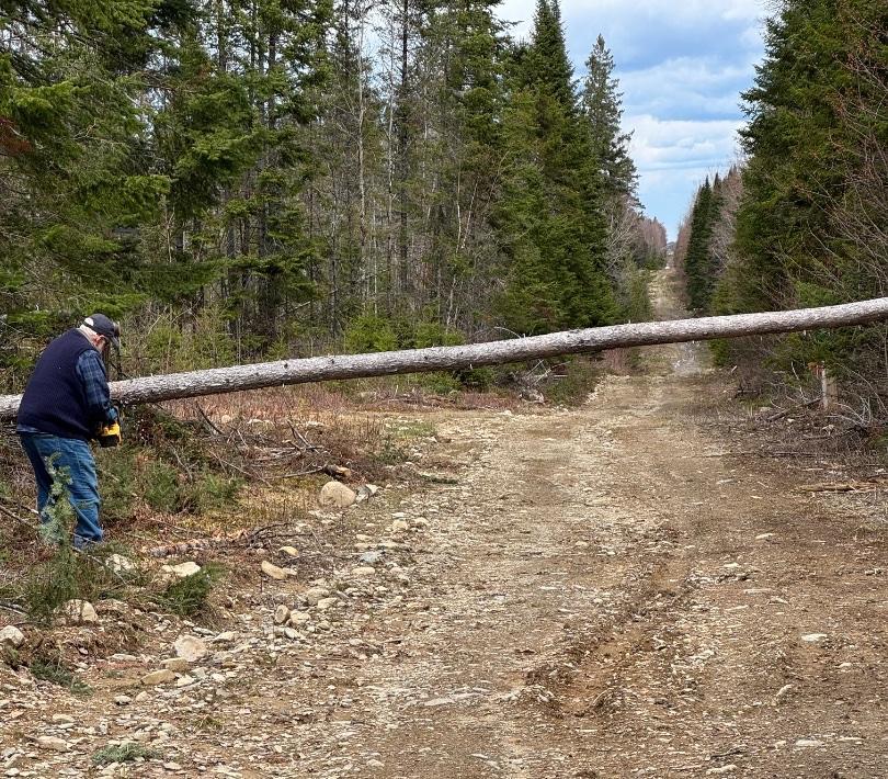 BorderlineATVClub Trail Photo