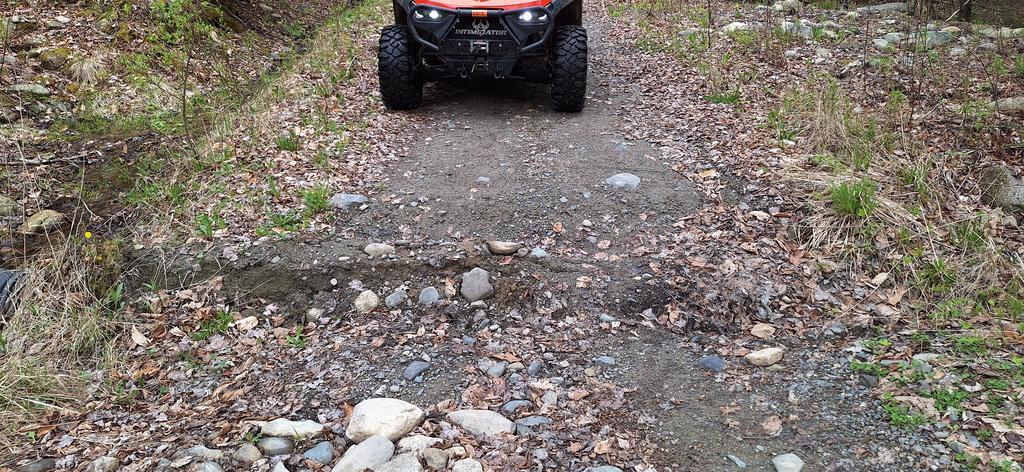 Baldy68 Trail Photo