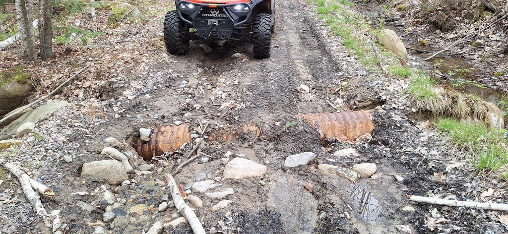 Baldy68 Trail Photo