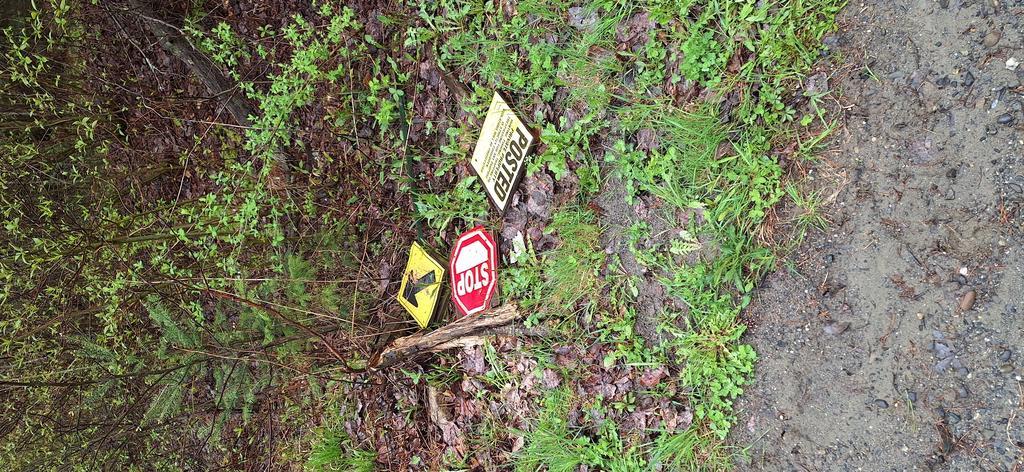 Baldy68 Trail Photo