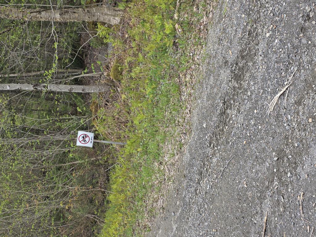 don9 Trail Photo