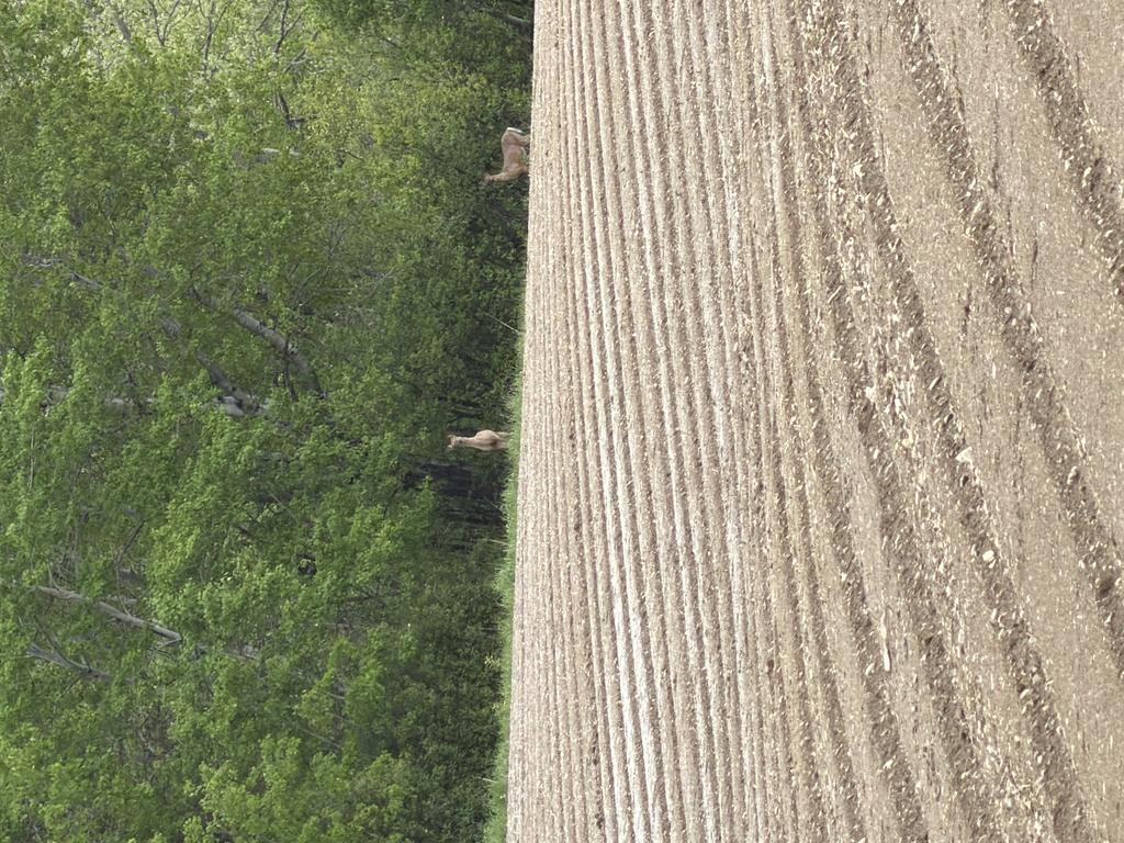 Ranger Trail Photo