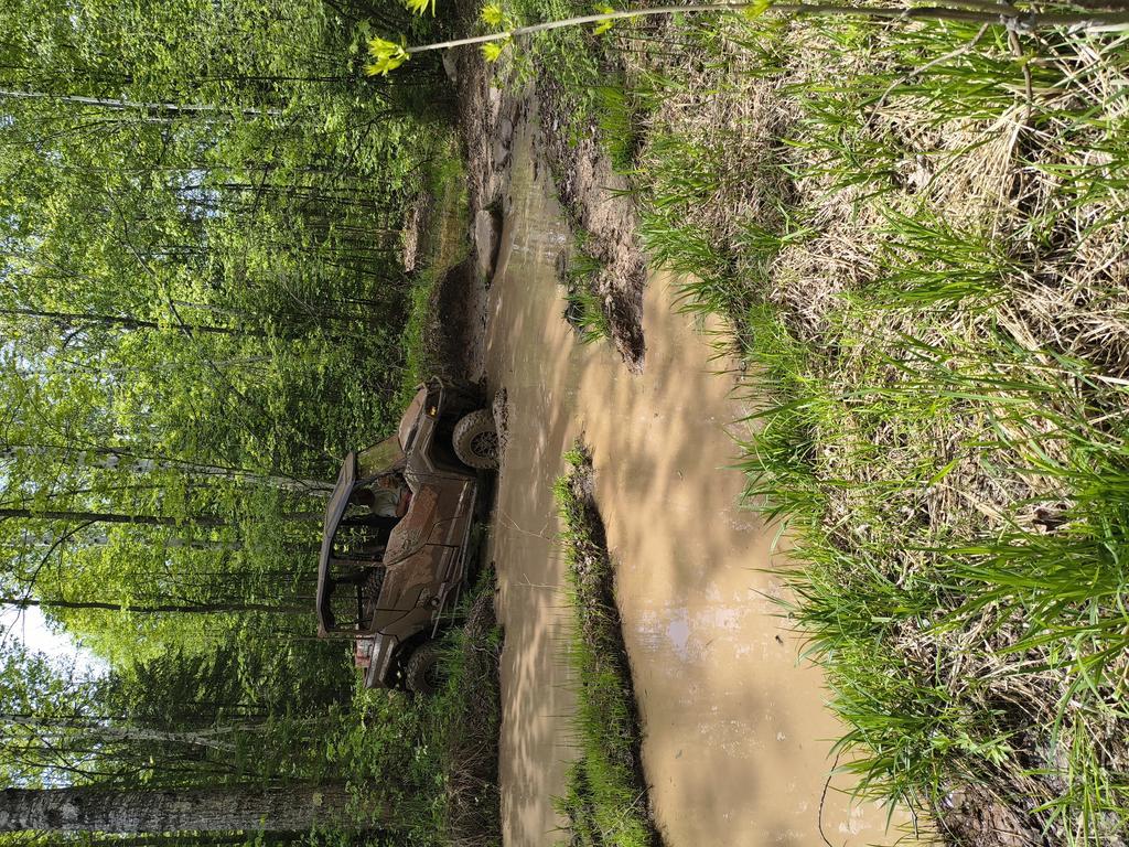 MNmarkp Trail Photo