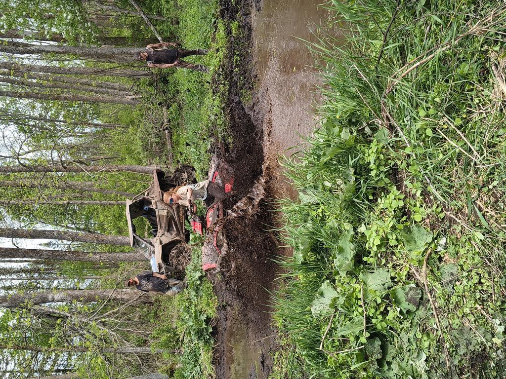 Mnmarkp Trail Photo