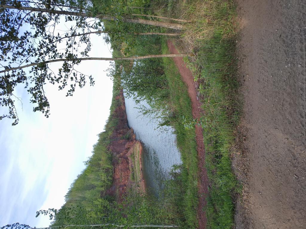 Mnmarkp Trail Photo