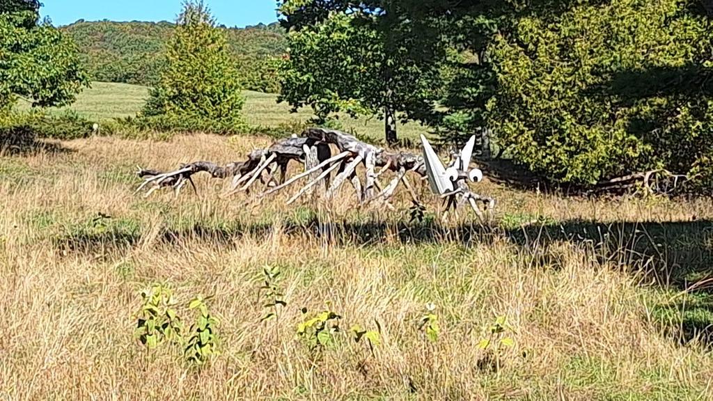 gryprsctt Trail Photo