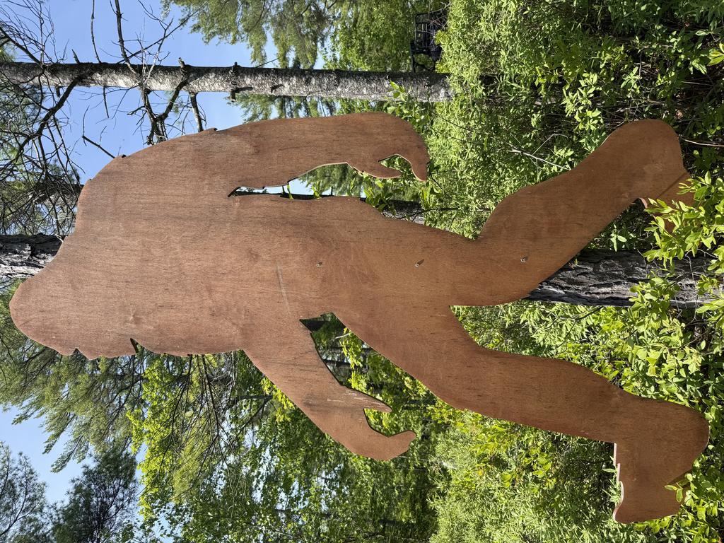 RobMorris Trail Photo