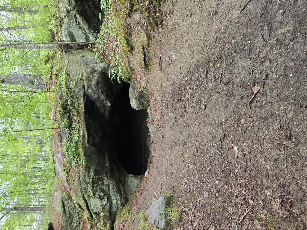 randychild779@gmail.com Trail Photo