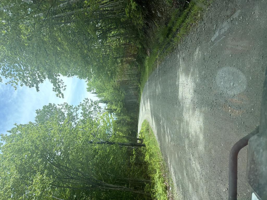 brian@trailintel.com Trail Photo