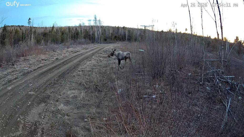 Tyke29 Trail Photo