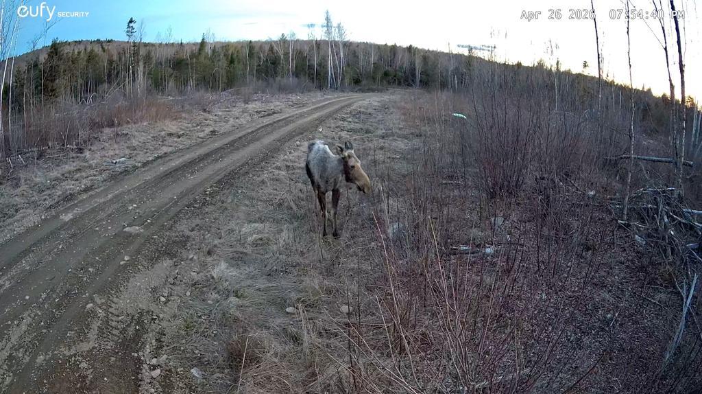 Tyke29 Trail Photo