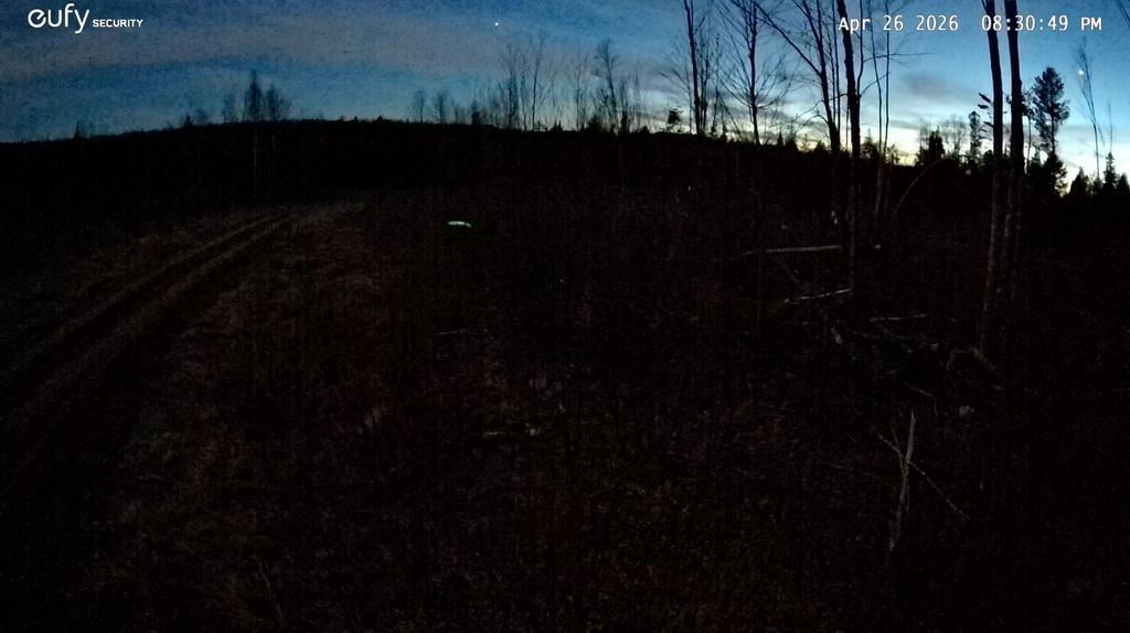 Tyke29 Trail Photo