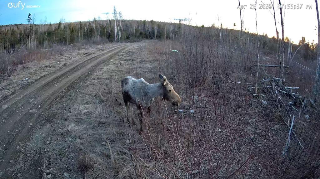 Tyke29 Trail Photo