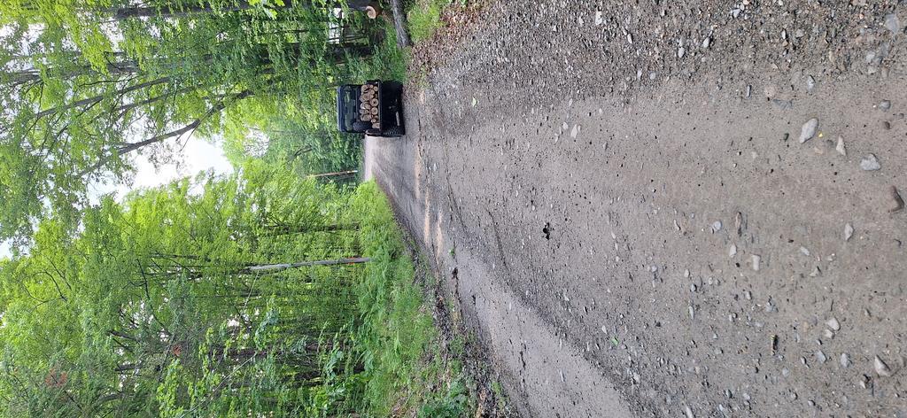 Baldy68 Trail Photo