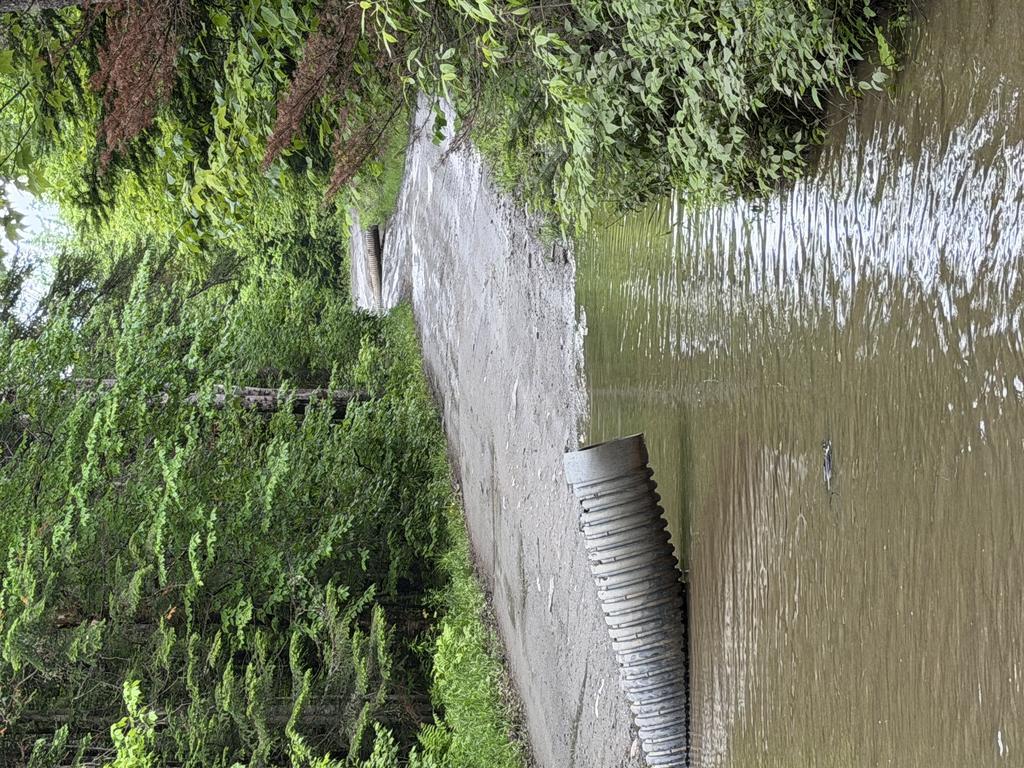 hwrigley Trail Photo