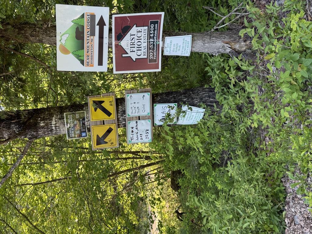 JJGunning Trail Photo