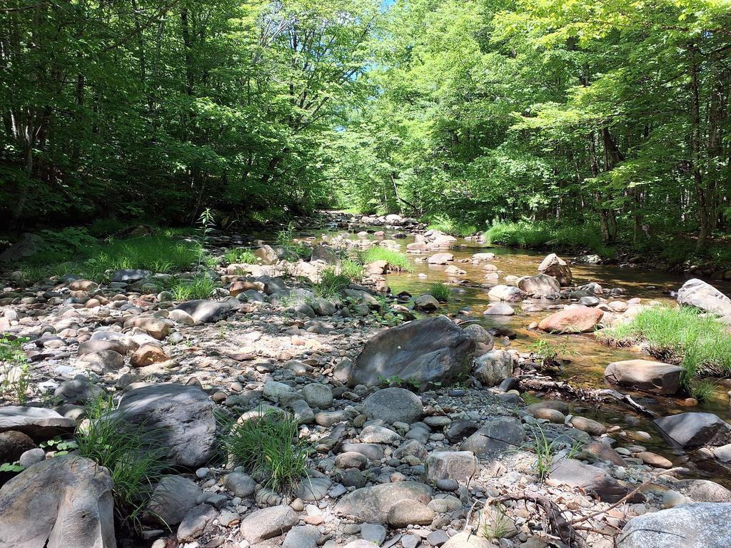 Roland_Daignault Trail Photo