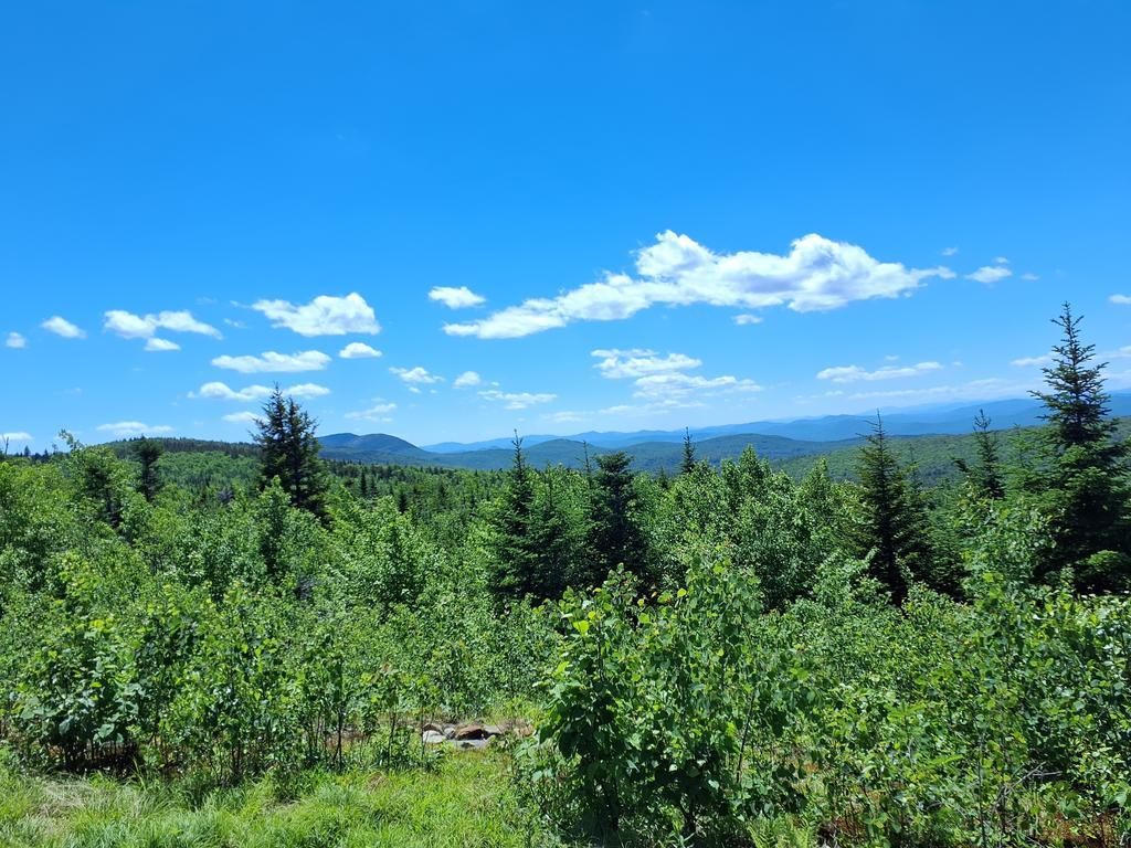 Roland_Daignault Trail Photo