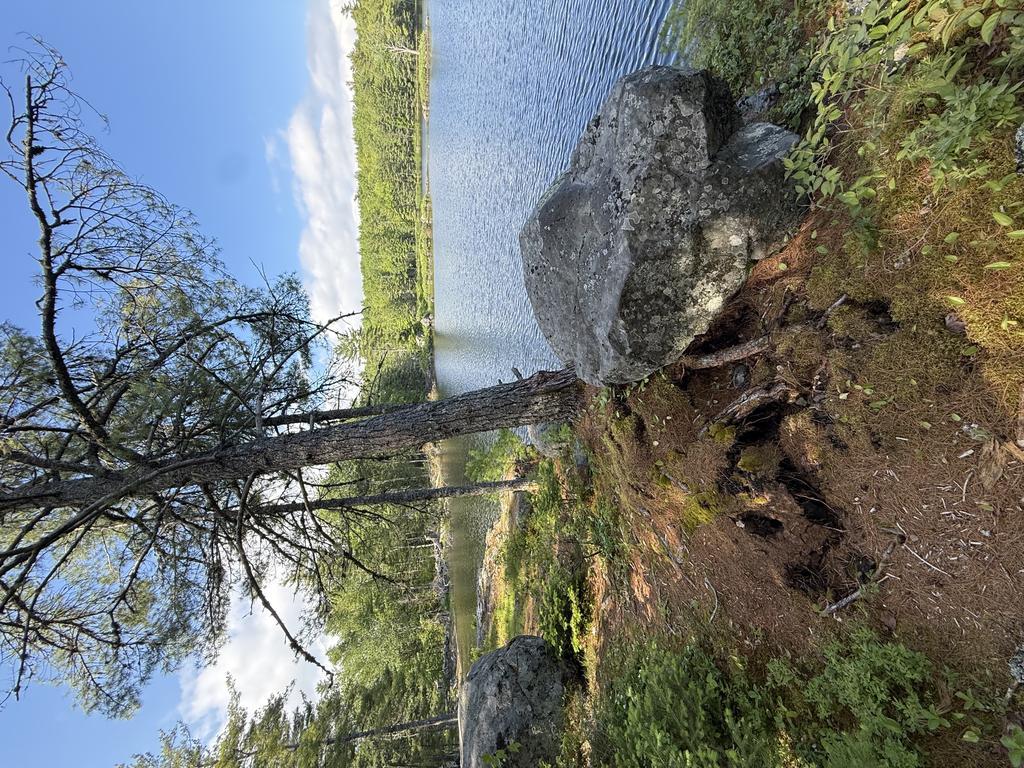 Jjgunning Trail Photo