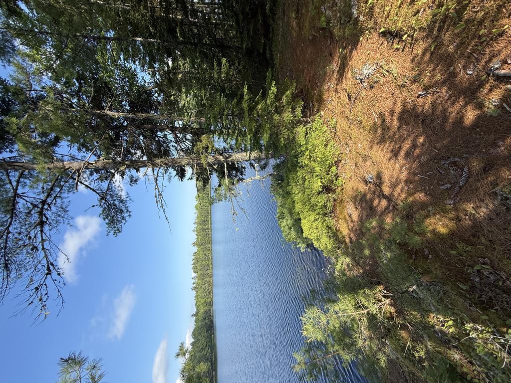 Jjgunning Trail Photo