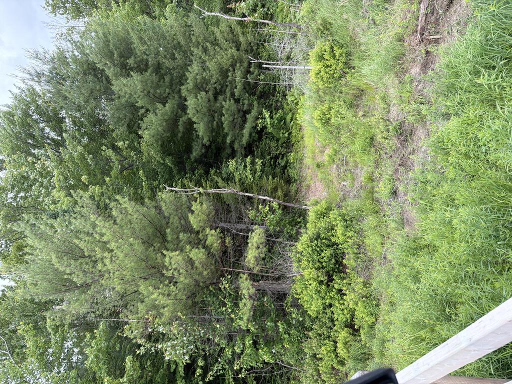 Melissaspencer Trail Photo
