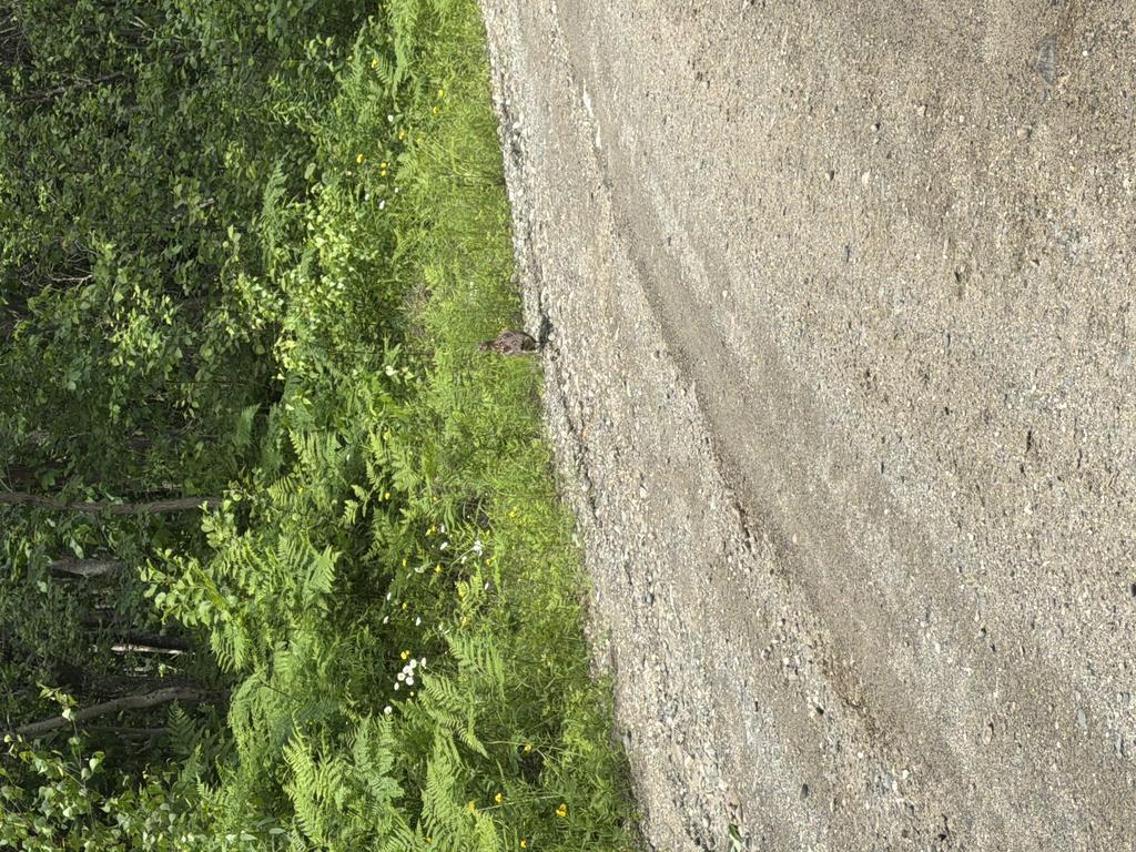Melissaspencer Trail Photo