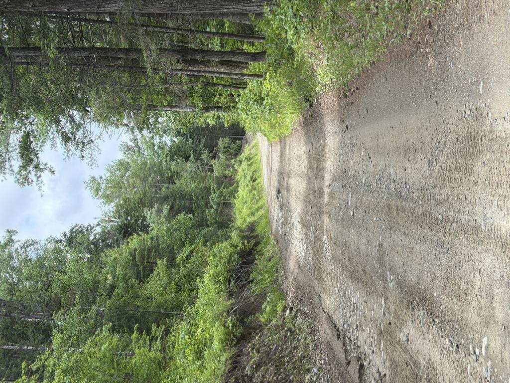 Melissaspencer Trail Photo