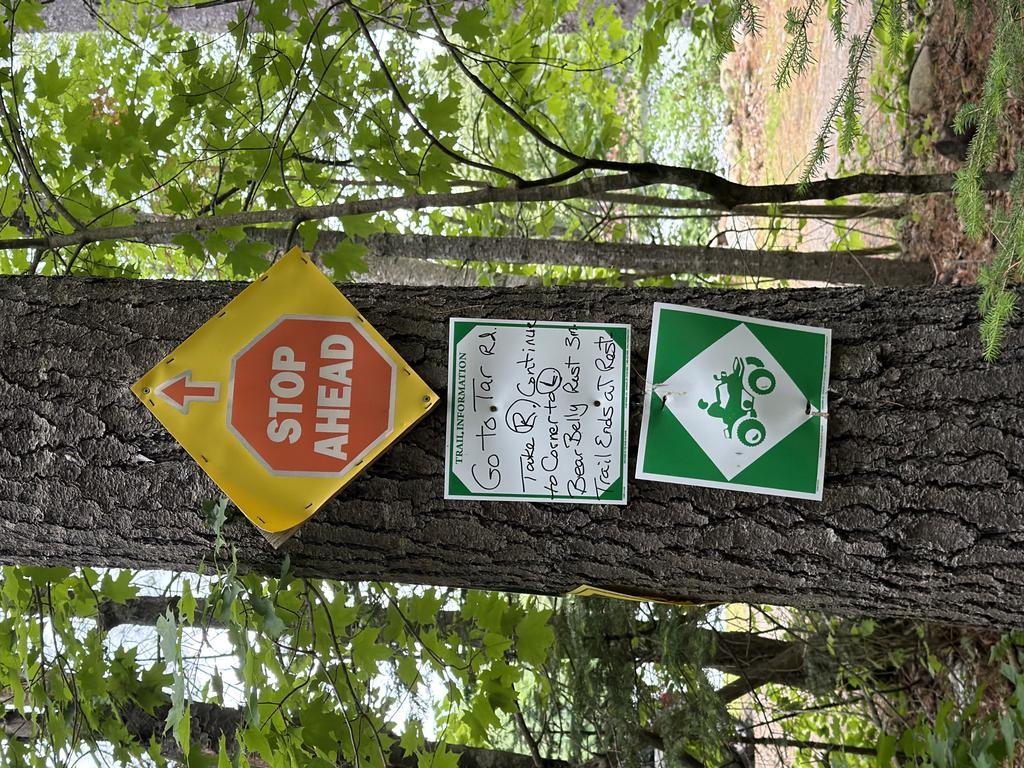 MelissaSpencer Trail Photo