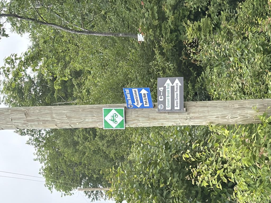Melissaspencer Trail Photo