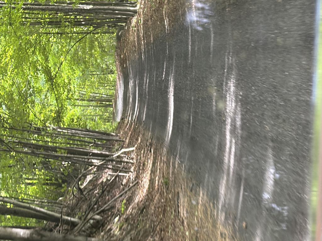 Melissaspencer Trail Photo